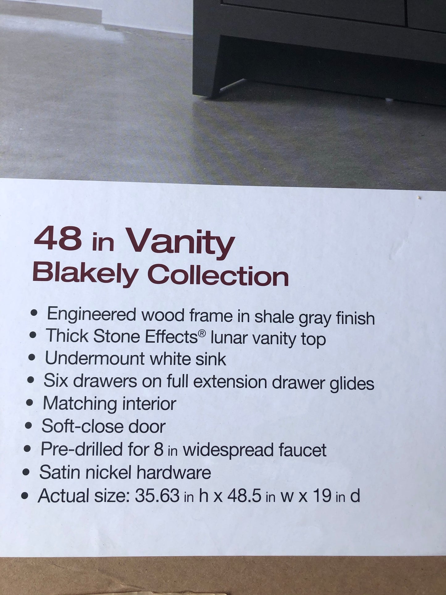 Blakely 49 in. W x 19 in. D Bath Vanity in Shale Gray with Stone Effects Vanity Top in Lunar with White Sink.